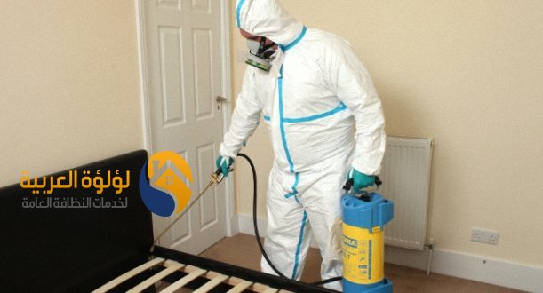 شركة مكافحة النمل الابيض بالقصيم