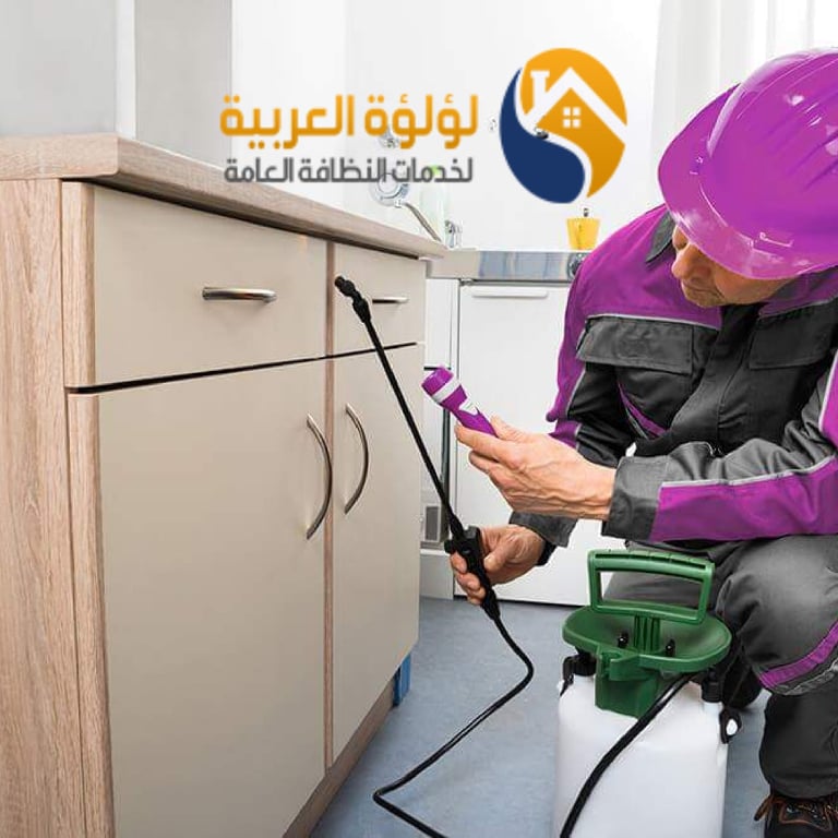 شركة رش مبيدات بالبكيرية