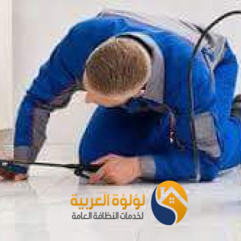 شركة مكافحة النمل الابيض بالبكيرية