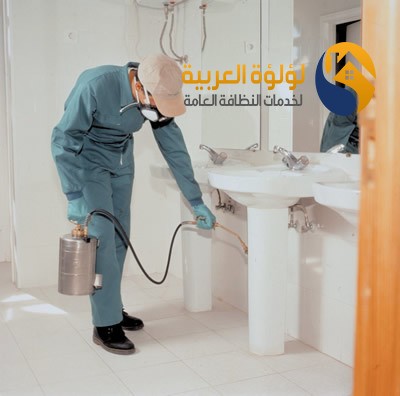 شركة مكافحة النمل الابيض بعنيزة