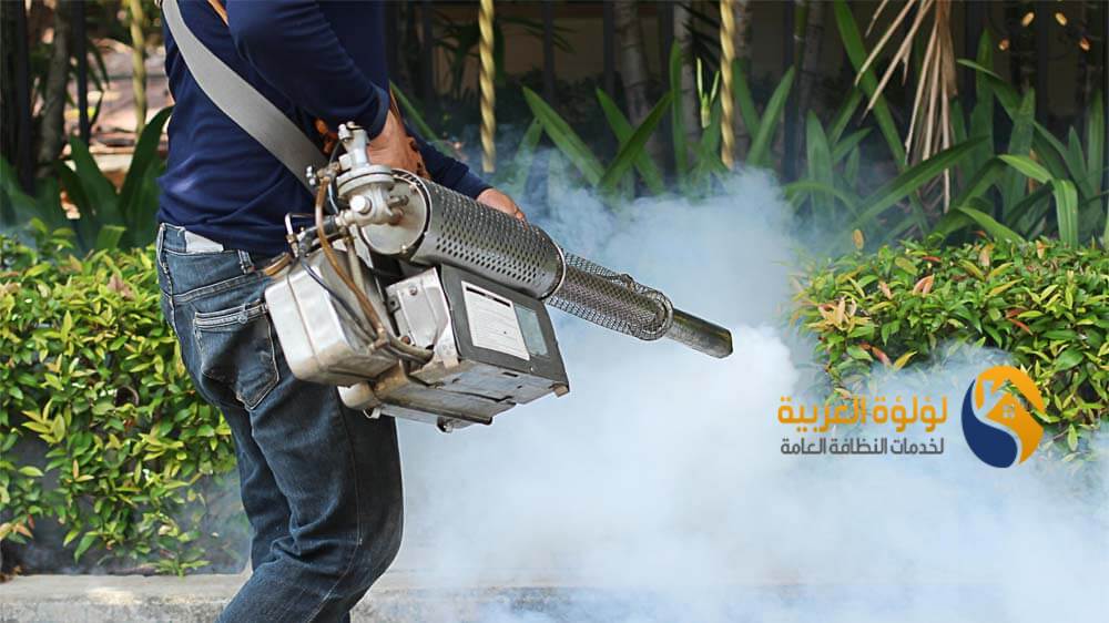 شركة رش مبيدات حشرية بالرس