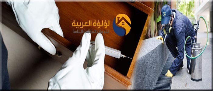 شركة مكافحة حشرات بالرس