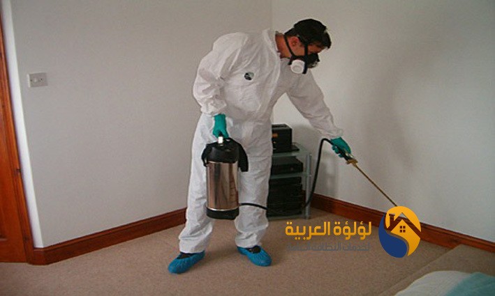 شركة رش مبيدات حشرية بالرس