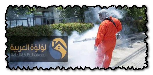 أفضل شركة مكافحة حشرات الزلفي