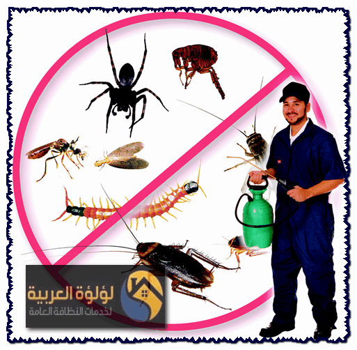 شركة رش مبيدات بالزلفي