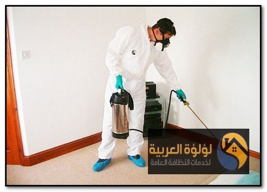 شركة مكافحة حشرات المذنب