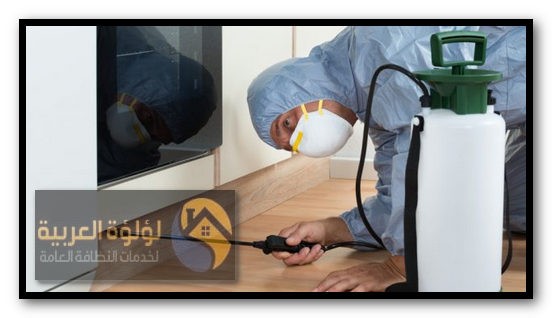 شركة مكافحة حشرات بالبدائع