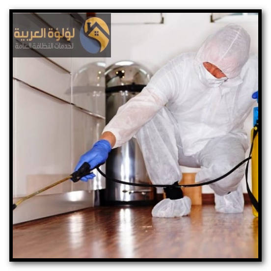 شركة مكافحة حشرات بعيون الجواء