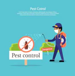 أسعار شركات مكافحة حشر مكافحة حشرات يريدةات بالقصيم